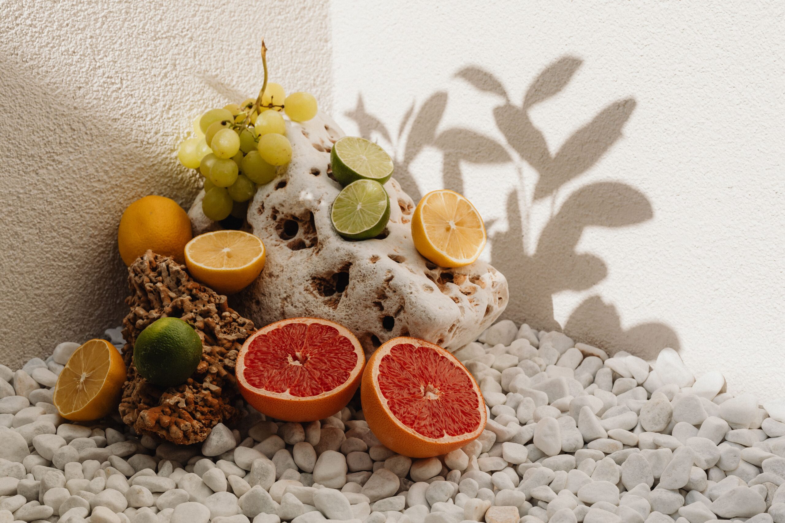 a group of fruit on rocks - gut health